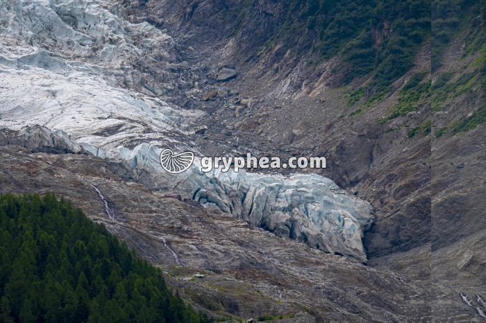 Glacier de Taconnaz (Chamonix, Haute-Savoie, France) - gryphea.org